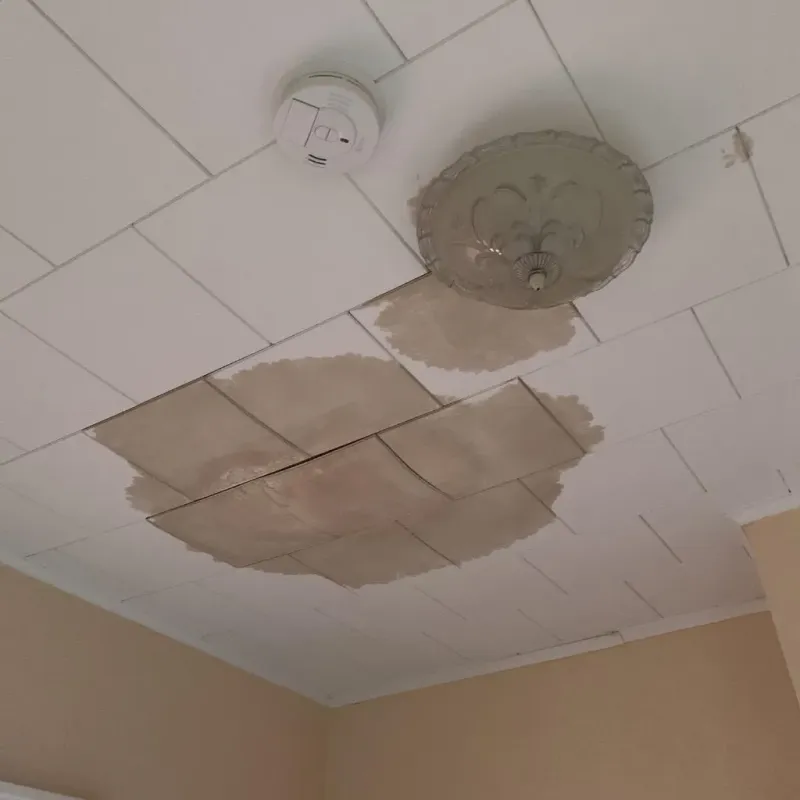 Ceiling Water Damage Repair in Montague, MA